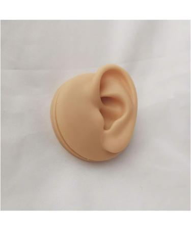 Silicone Ear Model - Simulation Human Ear Model - for Human Body Piercing Acupuncture and Moxibustion Ear Teaching Earrings Earrings Show Left - Buy Online on GoSupps.com