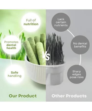 Kittygreen Sticks Kittygreen Cat Grass Teething Stick Cat Grass Chew Sticks for Hairball Removal and Cat Teeth Cleaning Natural Cat Grass Sticks Promotes Digestive & Increases Appetite (12PCS) - Buy Online on GoSupps.com