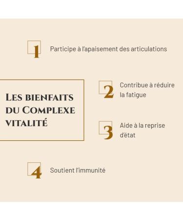 PRINCE EQUIN - VITALITY COMPLEX - Horse nutritional supplement - Bucket 1 kg - White willow vitamin C - Energy boost - Fitness - Joint comfort - French brand - Buy Online on GoSupps.com