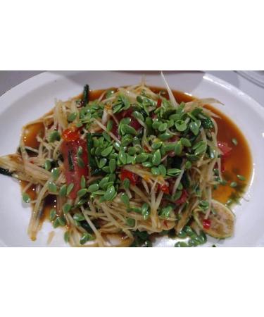 Sunaree Thai Fermented Fish Sauce Nam Pla La Authentic Brand 350ml (Pack of 3) - Ideal for Papaya Salad Dressing - Buy Online on GoSupps.com