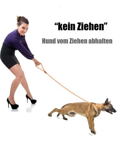 Lynxking Tow Lines for Dogs - Durable Dog Leash for Small to Large Breeds | Train Stop 1.3cm x 180cm - Ideal for Retrieving Brown Color - Buy Online on GoSupps.com