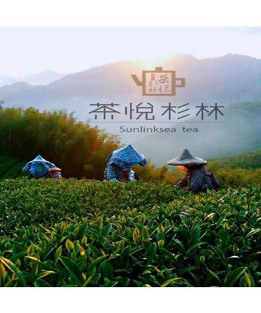Taiwan unique tea TTES No.12 (Jhinshuan) Shanlinxi Oolong Tea 150g*4 - Buy Online on GoSupps.com