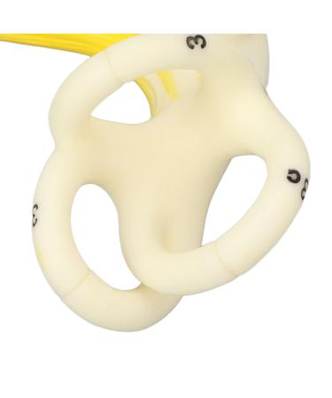 Highly Detailed Inner Ear Labyrinth Model - 5X Magnification PVC Semicircular Canal - Ideal for Teaching and Education - Buy Online on GoSupps.com