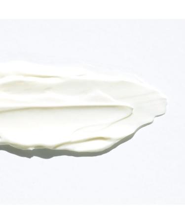 WildMint Glow to Bed Natural Facial Night Cream | Hydrating Moisturiser for Dry Menopause & Mature Skin | Anti-Aging Skin Care with Hyaluronic Acid | UK Vegan Face Cream for Sensitive Skin 50ml - Buy Online on GoSupps.com