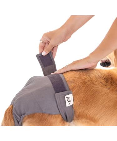 Shop Lills Fuse Pants for Bitches - Organic Cotton Washable Extra Absorbent Flexible Closure | XS to XXL - Pink Berry (33-45cm Waist) - Buy Online on GoSupps.com