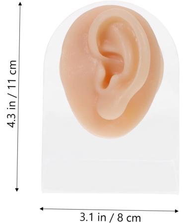 Piercing Tools Simulation Left Ear Model Display Prosthesis Mold Silica Gel Silicone Earring Mold for Body Art - Buy Online on GoSupps.com