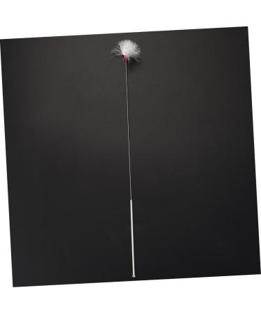 DINHEAROM 4pcs Gentle Ear Tools Ear Cleaning Sticks Handles Goose for Family Travel - Buy Online on GoSupps.com