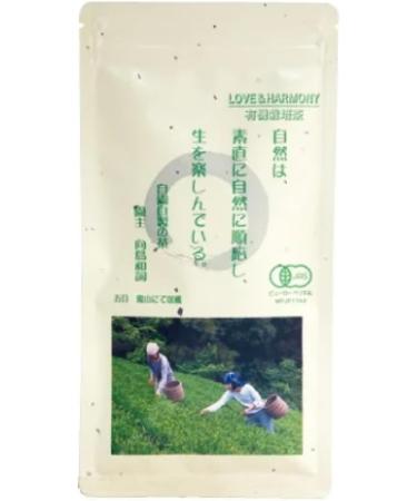  LEONIS Green tea "Sencha" 80g x 2 pieces - Buy Online on GoSupps.com