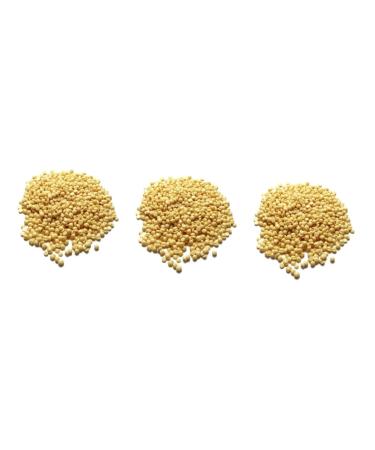 Minkissy 3Pcs Coarse Wax Pearls for Body Hair Removal | Easy Painless Hard Wax Beans - Light Yellow Beeswax - Buy Online on GoSupps.com