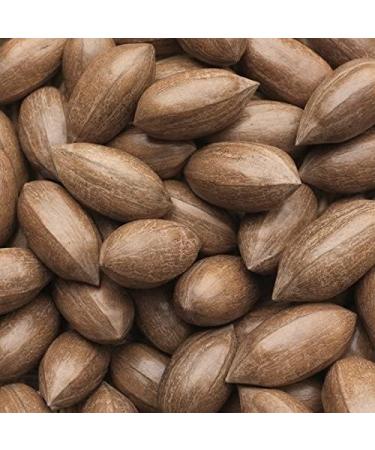 Pecan Nuts Halves Raw Natural Pecans Whole Nuts (1 KG) Pecan Nuts 1 KG - Buy Online on GoSupps.com