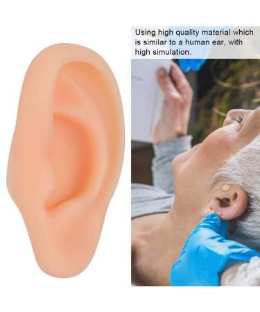 Silicone Left Ear Acupuncture Practice Model - Professional Massage Teaching Tool - Buy Online on GoSupps.com