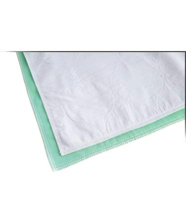 Healthy Spirit Waterproof Sheet Protector Reusable Absorbent Underpad  30 X 34 inch  1 Count - Buy Online on GoSupps.com