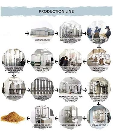 Hi-Q Duan-Wood Lingzhi/Ganoderma Lucidum/Reishi Oil Capsule 350mg 110 Capsules CO2 Extract - Buy Online on GoSupps.com