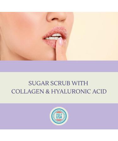 Lip Exfoliator Scrub and Moisturizer Watermelon Sugar Kiss Fruit Flavor Sugar Lip Scrub for Dark Lips Dryness and Overnight Hydration For Men & Women Made in the USA Botanicals by W.D.D. - Buy Online on GoSupps.com