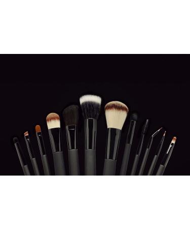 LOLA - Long Lasting Eyeshadow Blending Brush - Matte and Shimmer Eyeshadow Palette - Professional Eye Makeup - Buy Online on GoSupps.com