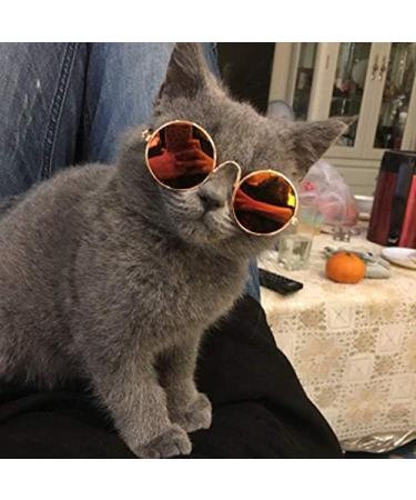 5pcs Multi-Colored Dog & Cat Sunglasses - Pet Accessories & Photo Props for Dogs and Cats - Buy Online on GoSupps.com