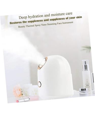 FOMIYES Water Replenishing Instrument Steamer Skin Care Mist Humidifier Face Humidifier Beauty Humidifier Nano Face Steamer Facial Mist Sprayer Facial Steamer - Buy Online on GoSupps.com