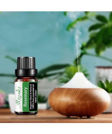 Miyuki Rosemary 10ml Essential Oil for Hair Growth & Skin Care - Pure Therapeutic Oil for Diffuser Humidifier & Massage - Buy Online on GoSupps.com