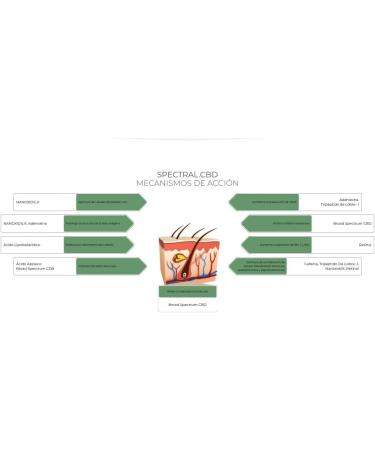 Spectral Cbd Tto Anticaida Locion 60Ml - Buy Online on GoSupps.com