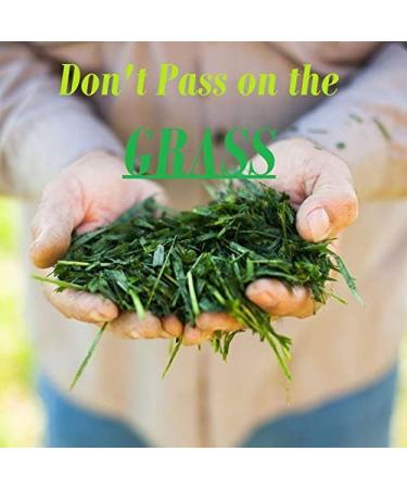 Buy Amazing Grass Organic Wheat Grass Tablets - 200 Tablets for Natural Wellness - Buy Online on GoSupps.com