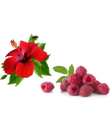  LONDON FRUIT & HERB COMPANY London Fruit | Raspberry and Hibiscus Infusion | Individual Infusion Bags - 2 x 20 Filters (80g) | Caffeine-Free Fruity Herbal Tea - Buy Online on GoSupps.com
