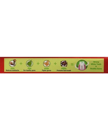 ECH Natural Pure Herbal Red Toothpaste 100 g Pack of 4 - Buy Online on GoSupps.com