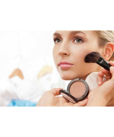 SHANY Paraben Free Powder Blush Novelty - Buy Online on GoSupps.com