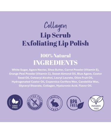Lip Exfoliator Scrub and Moisturizer Watermelon Sugar Kiss Fruit Flavor Sugar Lip Scrub for Dark Lips Dryness and Overnight Hydration For Men & Women Made in the USA Botanicals by W.D.D. - Buy Online on GoSupps.com