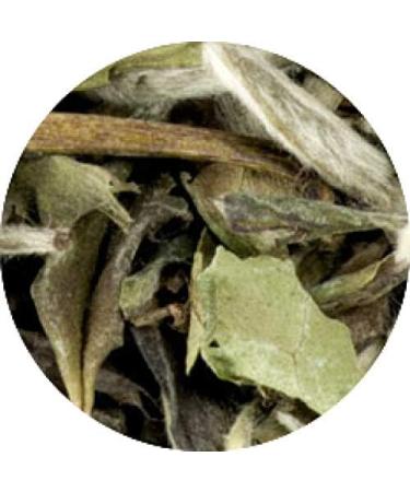  Lerbs & Hagedorn Lerbs & Hagedorn Yunnan Green Bud Chinese Green Tea | Full-bodied long-lasting sweet approx. 2 kg (162 litres) - Buy Online on GoSupps.com