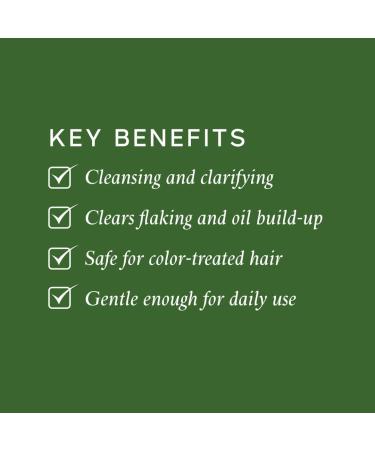 PHILIP KINGSLEY Flaky Scalp Shampoo - Cleansing Scalp Care for Dry, Oily Scalps - Soothes and Calms - 8.45 Fl Oz - Buy Online on GoSupps.com