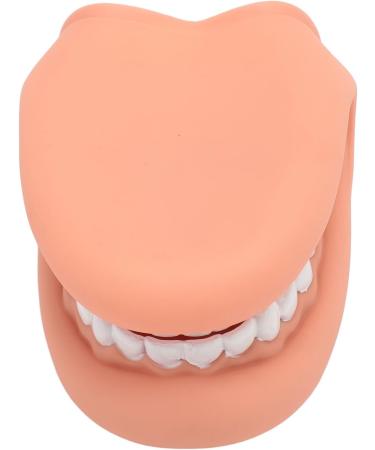 Mouth Hand Puppet - Educational Dental Care Model with Tongue for Children s Learning - Buy Online on GoSupps.com
