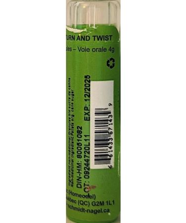 Meningococcinum 30CH Homeopathy Medicine Schmidt-Nagel Canada (Homeodel) 90 pellets/granules - Buy Online on GoSupps.com