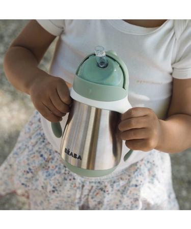 Beaba Stainless Steel Sippy Cup - Toddler/Baby Insulated Straw Cup with Handles (8.5 oz, Sage) - 8+ months - Buy Online on GoSupps.com