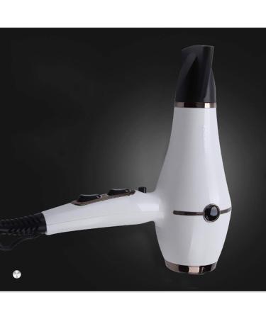 1800W Professional Hair Dryer Powerful Hairdryers with 2 Nozzles Lightweight Blow Dryer Fast Dry 2 Speed 3 Heat Cool Shot Setting Long Cable AC Motor Fast Drying Time and Frizz Free Shine White Small - Buy Online on GoSupps.com