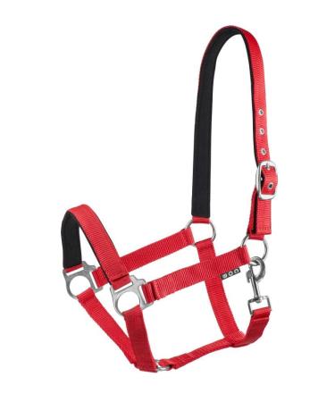 Start Economic Lined Halter For Horses Thoroughbred Pony - Stallhastter with two -stage adjustment - chin and neck piece - pasture horse halter halter warm -blooded neoprene (red pony) pony red