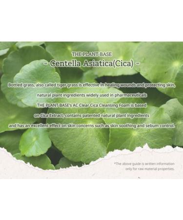 Buy THE PLANT BASE AC Clear Cica Cleansing Foam 120ml - Acne Care with Centella Asiatica | Korean Skincare | AHA BHA PHA LHA - Buy Online on GoSupps.com