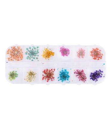 Dried Flower Nail Art Decor 12 Colors for Acrylic UV Gel Nail Design DIY Manicure Decoration Safe Bright Floral Tips (Type A Gypsophila)