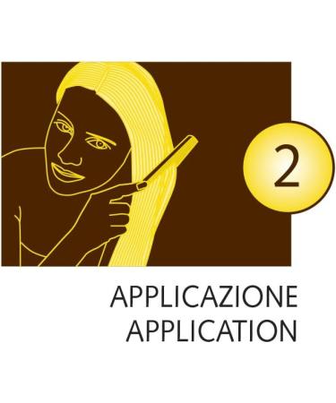  Sanotint SANOTINT Classic Hair Dye Color 21 Blueberry 2 boxes 2 x 125 ml - Buy Online on GoSupps.com