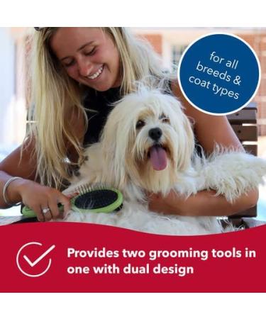 Coastal Pet Safari 2-in-1 Dog Brush with Plastic Handle - Pin and Bristle Combo for Short and Long Hair - Large Size - Buy Online on GoSupps.com