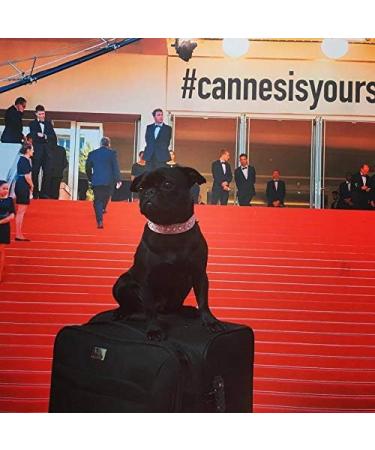 Nose Butter 30 ml - Nourishing Dry Dog Nose Balm for Healthy Paws | Shop Internationally at Your Store Name  - Buy Online on GoSupps.com