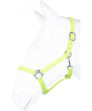 RL24 Nylon Halter BASICLINE - Neon Green Warmblood | Premium Equestrian Gear & International Shipping - Buy Online on GoSupps.com