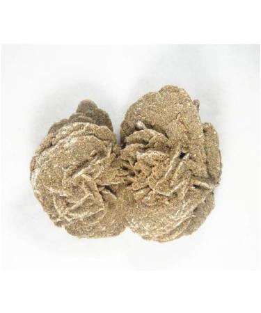 Natural Crystal Rough Natural Desert Rose for Home Decoration Gifts (Size : 5-8cm) - Buy Online on GoSupps.com