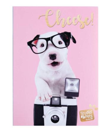 Grupo Erik Official Studio Pets Dog Charlie Photo Album 6x4 Photo Album / 10x15 cm Family Photo Album 36 Pockets Friend Gifts Gifts For Dog Lovers Photo Albums 6x4 36 photos Photo Album Slip In