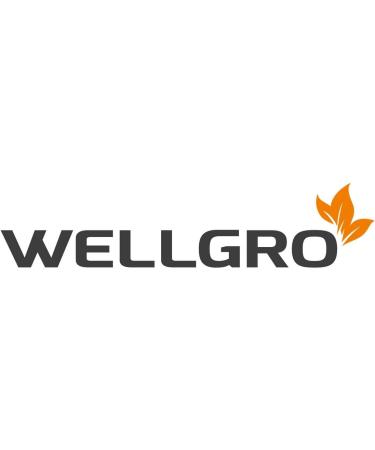 WELLGRO Set of 10 Lint Rollers - 900 Sheets Easy Removal 2 Dispensers | International Shipping - Buy Online on GoSupps.com