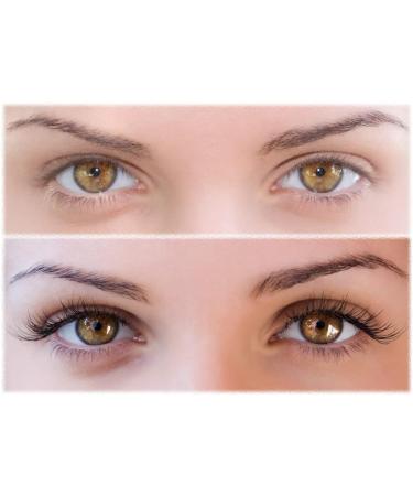 False Eyelashes Russian Strip Lashes Fluffy Eyelashes Perfect for Parties Weddings Birthday Gifts Eye Lashes for Every Type of Eyes Eyelashes Fake Lashes Natural Look (Lashes DH06-02) - Buy Online on GoSupps.com