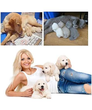 GSSFASHION Whelping Kit Delivery of Kitten and Puppy Whelping Kit with Feeding Nipple Stethoscope Aspirator Puppy ID Bands etc Complete Full Kit - Buy Online on GoSupps.com