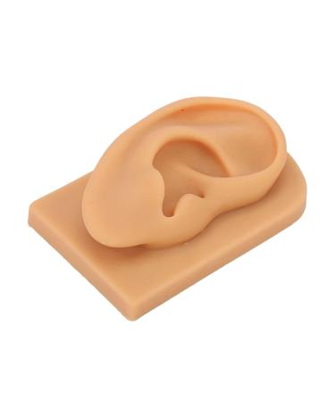 Ear Model Prevent Damage Waterproof Soft Silicone Right Ear Model Flexible Science Education for Display - Buy Online on GoSupps.com