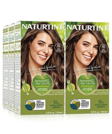 Naturtint Permanent Hair Color 5G Light Golden Chestnut (Pack of 6) Ammonia Free Vegan Cruelty Free up to 100% Gray Coverage Long Lasting Results 1 Count (Pack of 6) Light Golden Chestnut
