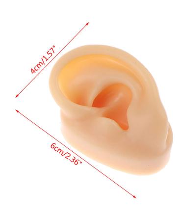 HUNIU Silicone Human Ear Model Earring Display Tool - White Left Ear for Hearing Aid Practice - Buy Online on GoSupps.com