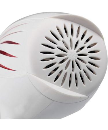 2000 Watt Compact Hair Dryer Dual Voltage Travel Hair Dryer Household Hair Dryer Hot and Cold Air Ion Hair Dryer/Black (White) - Buy Online on GoSupps.com
